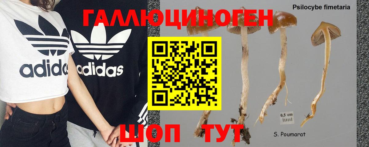 Галлюциногенные грибы MAGIC MUSHROOMS Богородск